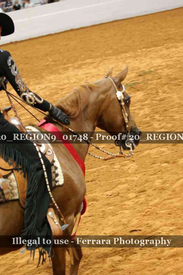 Proof 20_REGION9_01748