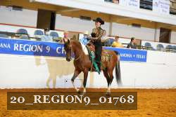 20_REGION9_01768 proof