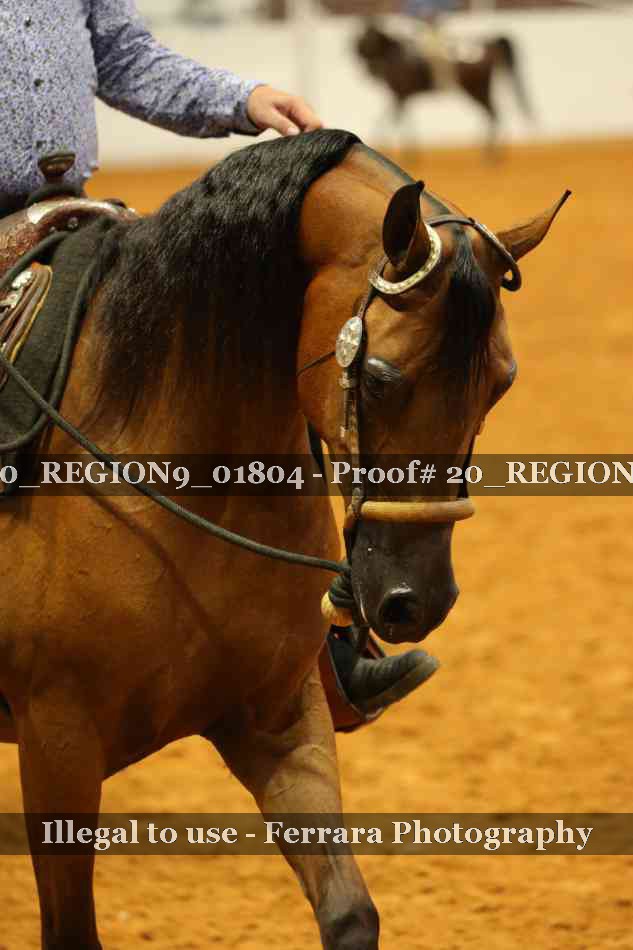 Proof 20_REGION9_01804