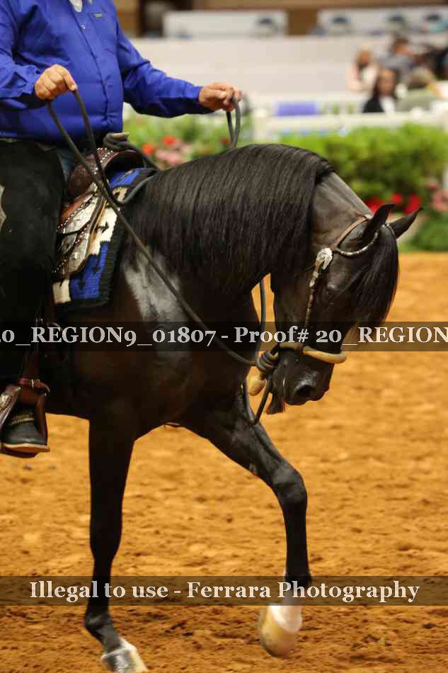 Proof 20_REGION9_01807