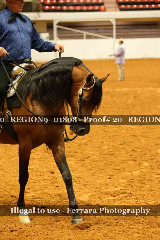 Proof 20_REGION9_01808