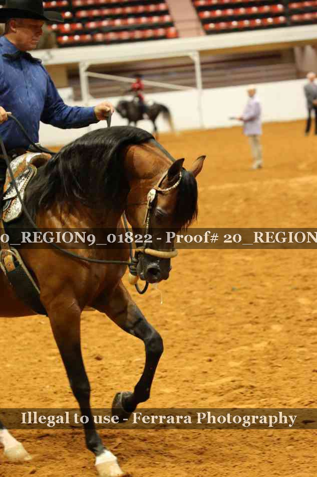 Proof 20_REGION9_01822
