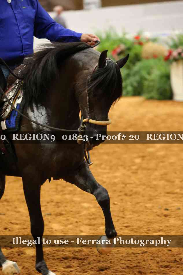 Proof 20_REGION9_01823