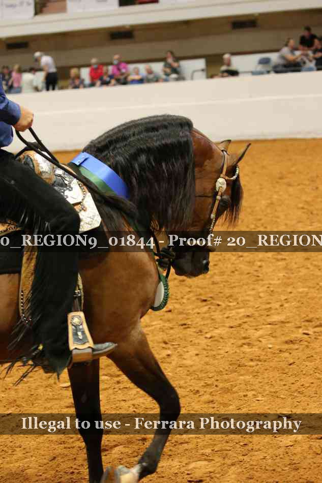Proof 20_REGION9_01844