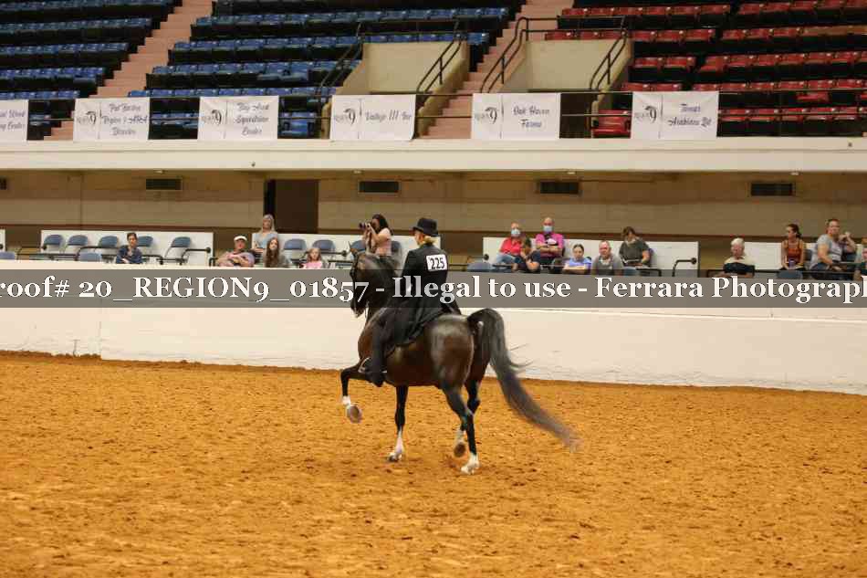 Proof 20_REGION9_01857