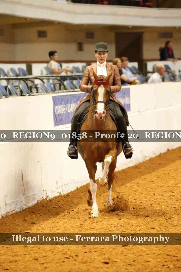 Proof 20_REGION9_01858