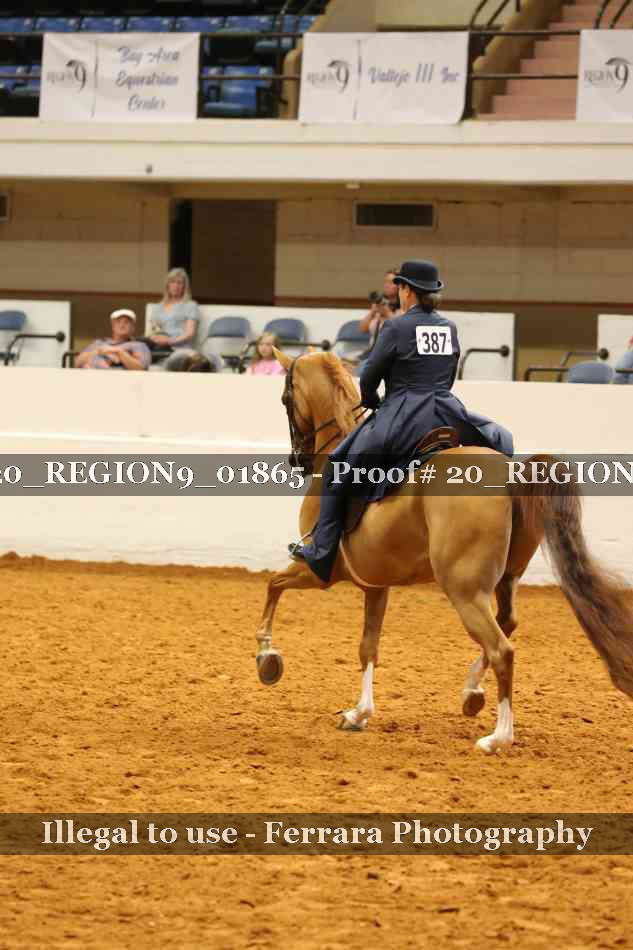 Proof 20_REGION9_01865