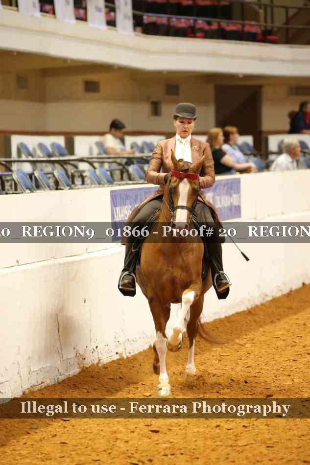 Proof 20_REGION9_01866
