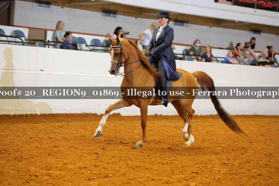 Proof 20_REGION9_01869