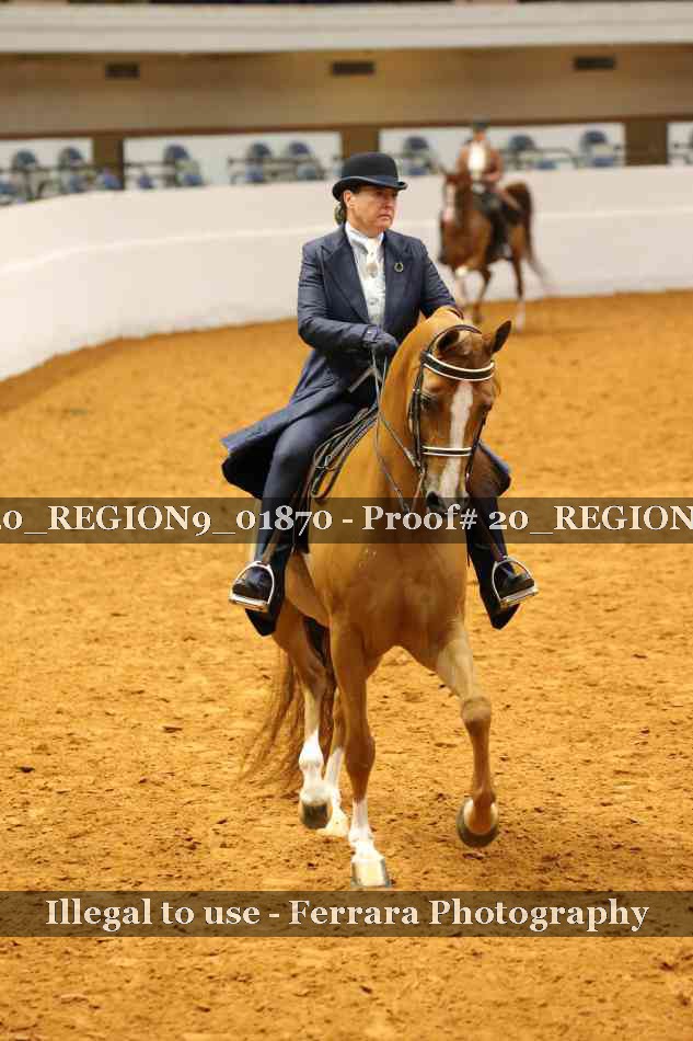 Proof 20_REGION9_01870