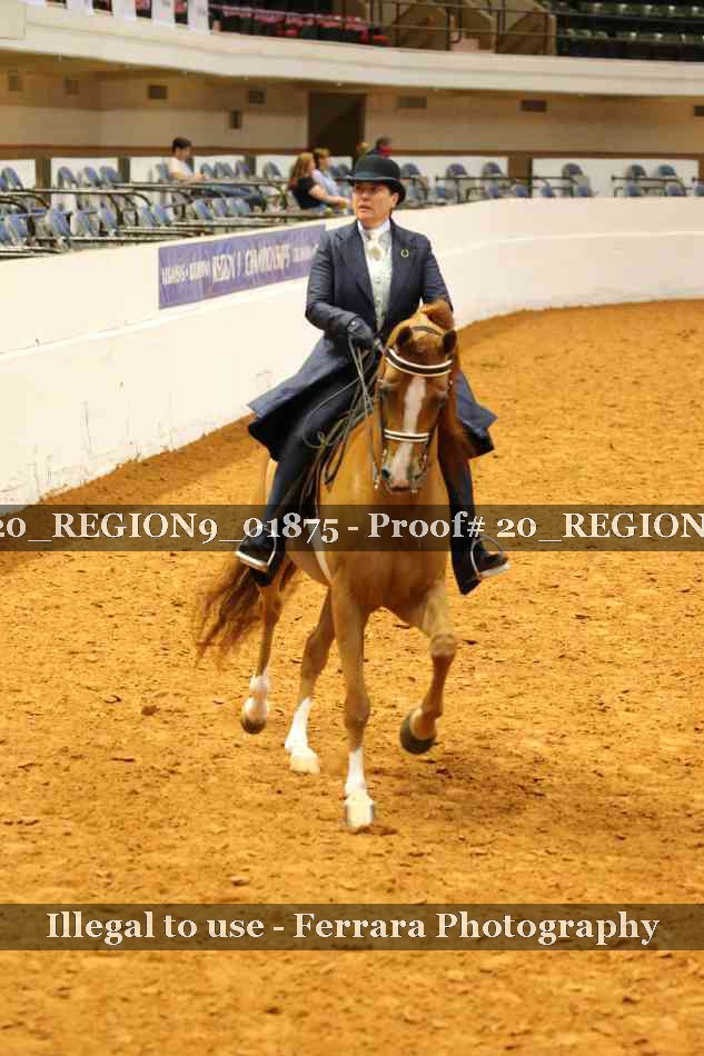 Proof 20_REGION9_01875