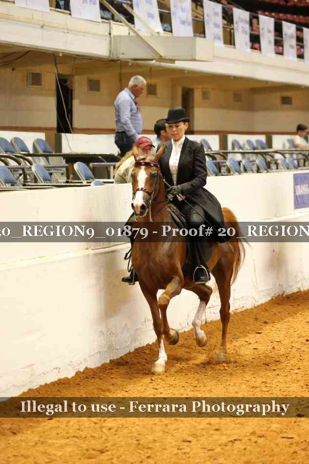 Proof 20_REGION9_01879