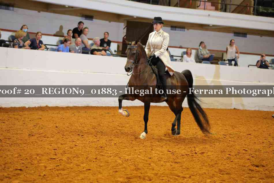 Proof 20_REGION9_01883