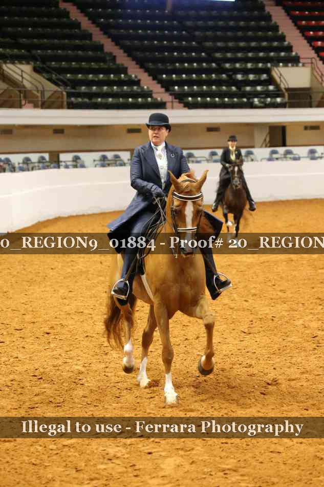 Proof 20_REGION9_01884
