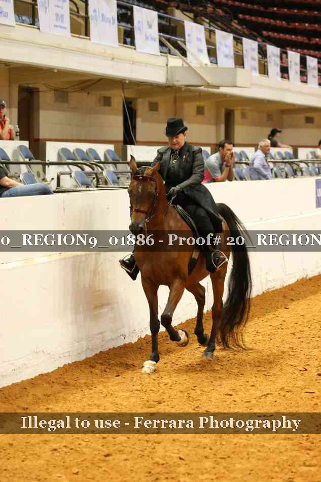 Proof 20_REGION9_01886