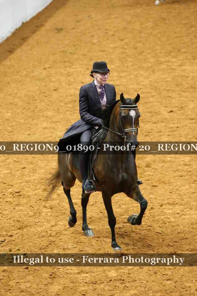 Proof 20_REGION9_01890