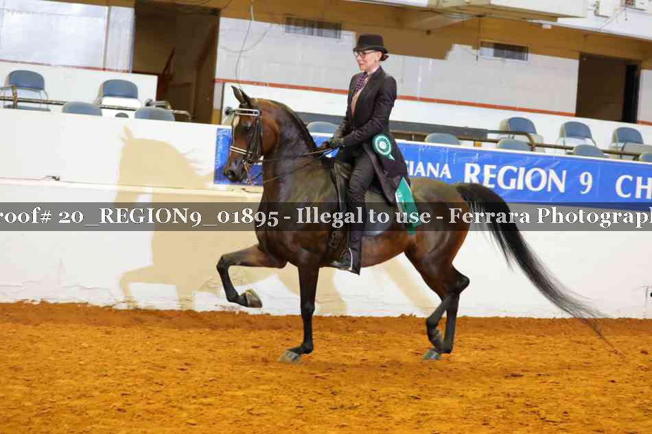 Proof 20_REGION9_01895