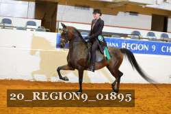 20_REGION9_01895 proof