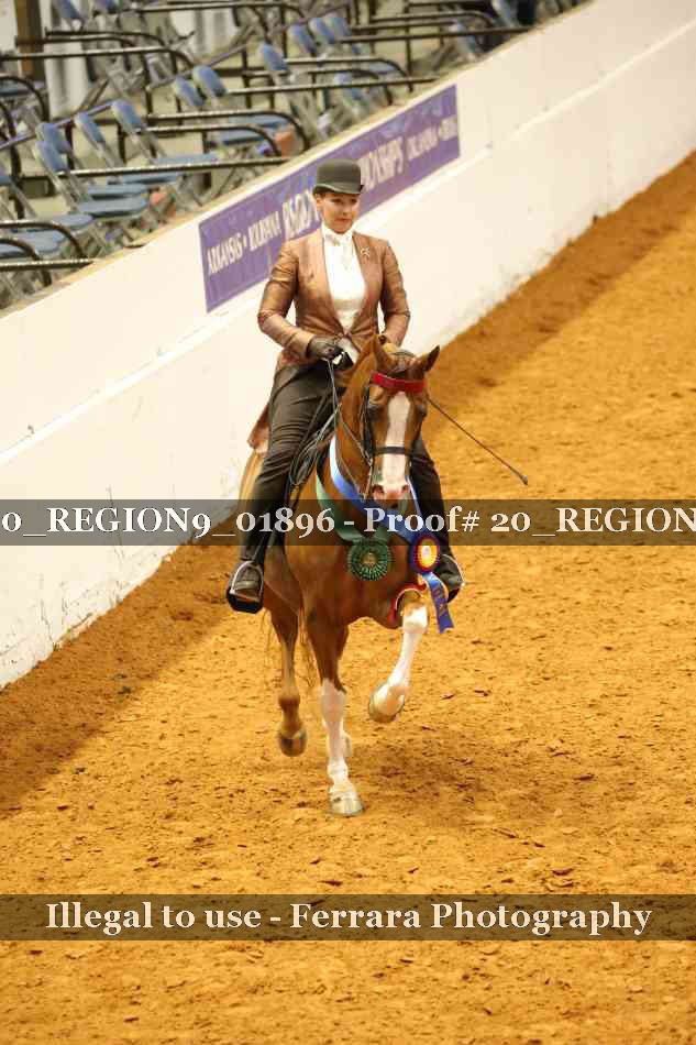 Proof 20_REGION9_01896