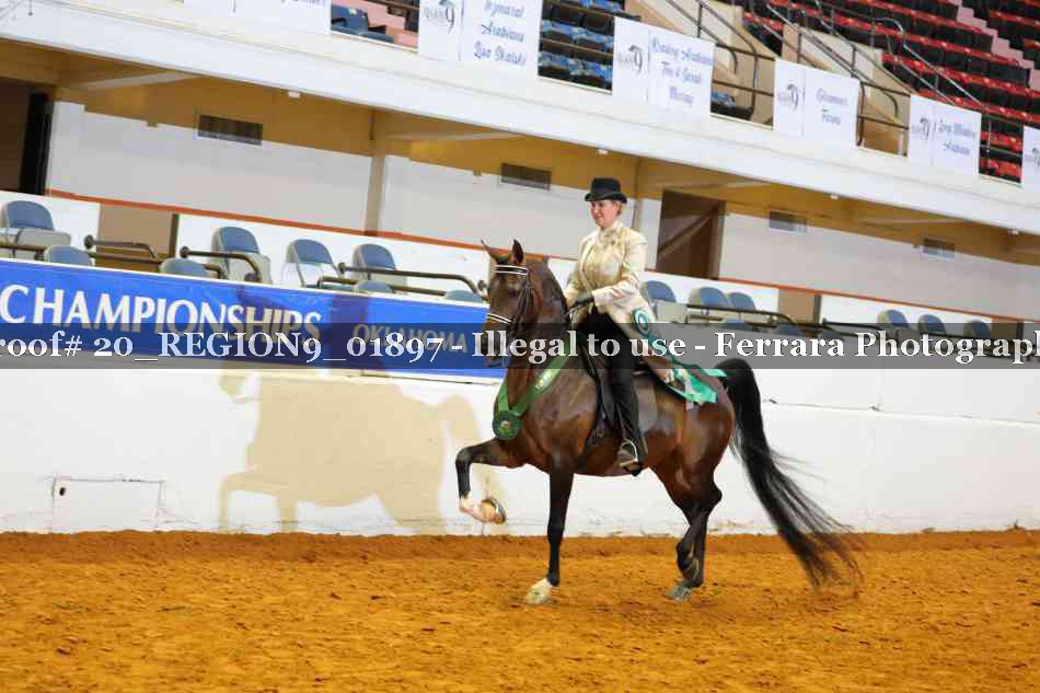 Proof 20_REGION9_01897