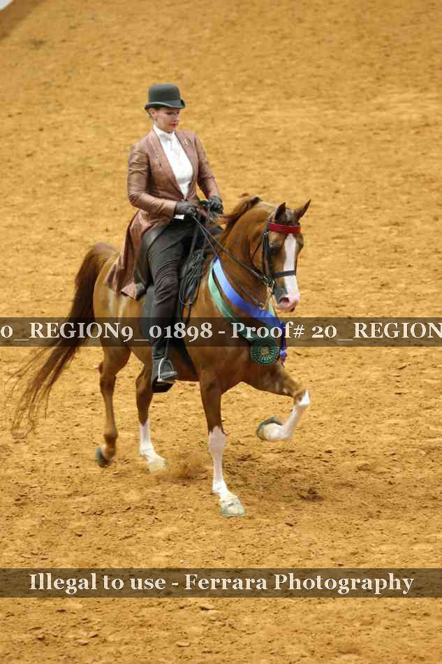 Proof 20_REGION9_01898