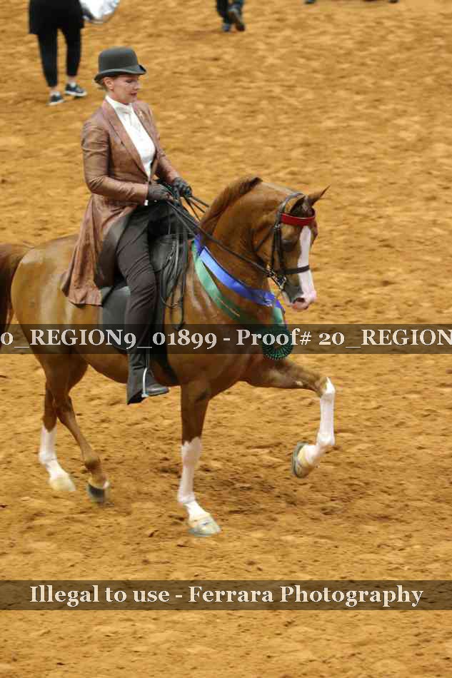 Proof 20_REGION9_01899