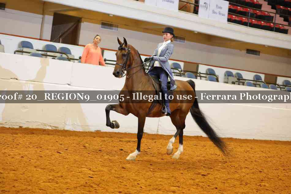 Proof 20_REGION9_01905