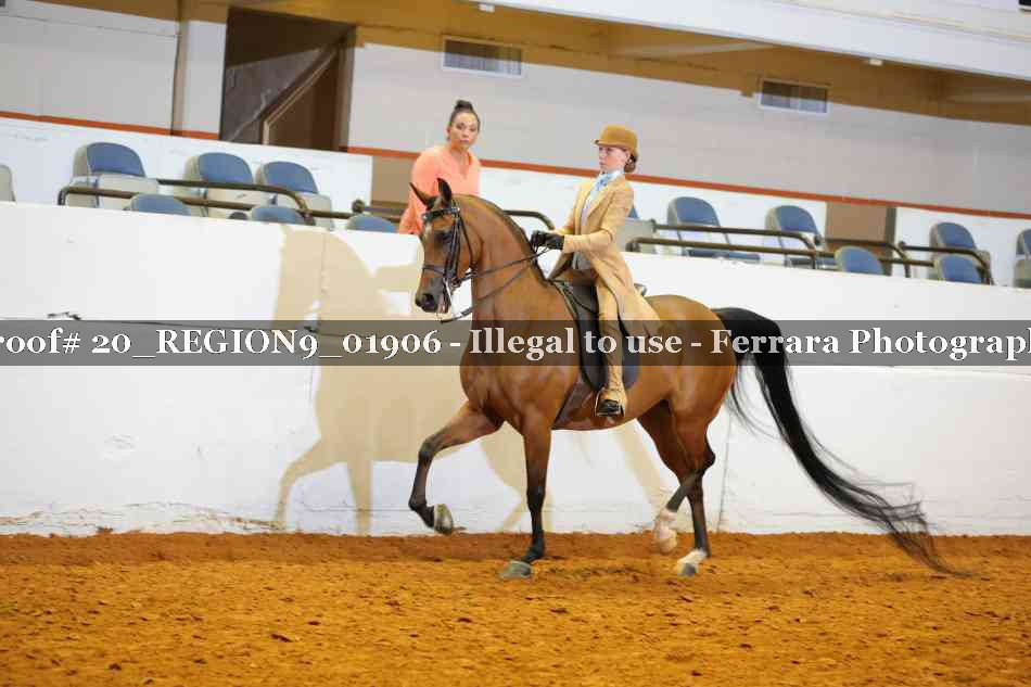Proof 20_REGION9_01906
