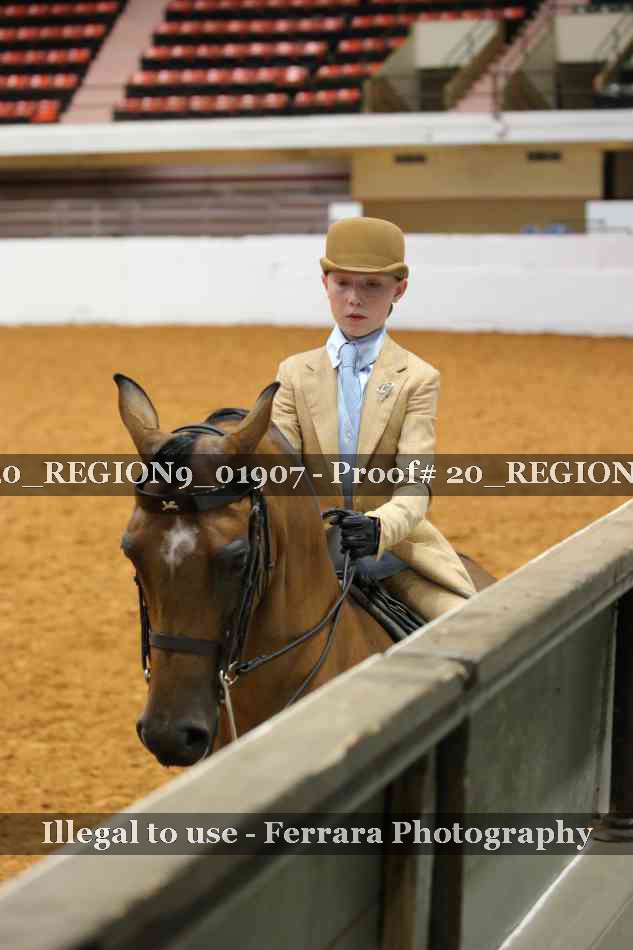 Proof 20_REGION9_01907