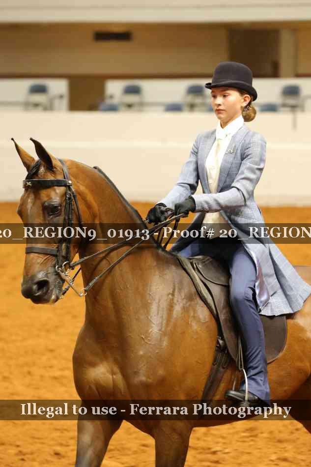 Proof 20_REGION9_01913