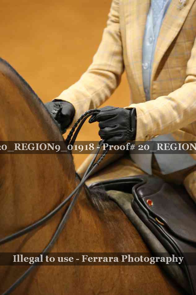 Proof 20_REGION9_01918