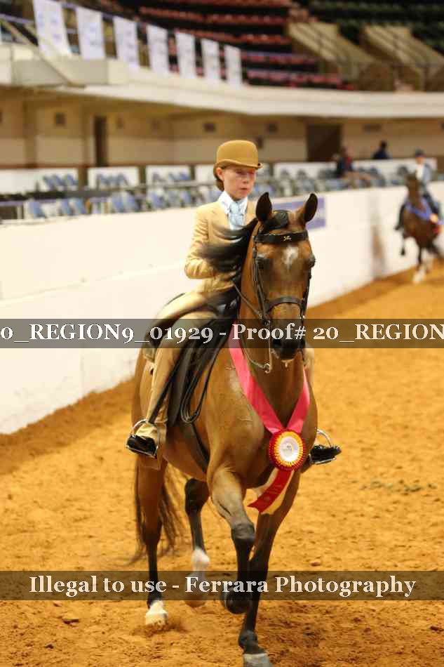 Proof 20_REGION9_01929