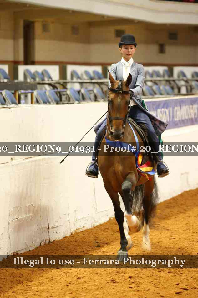 Proof 20_REGION9_01931