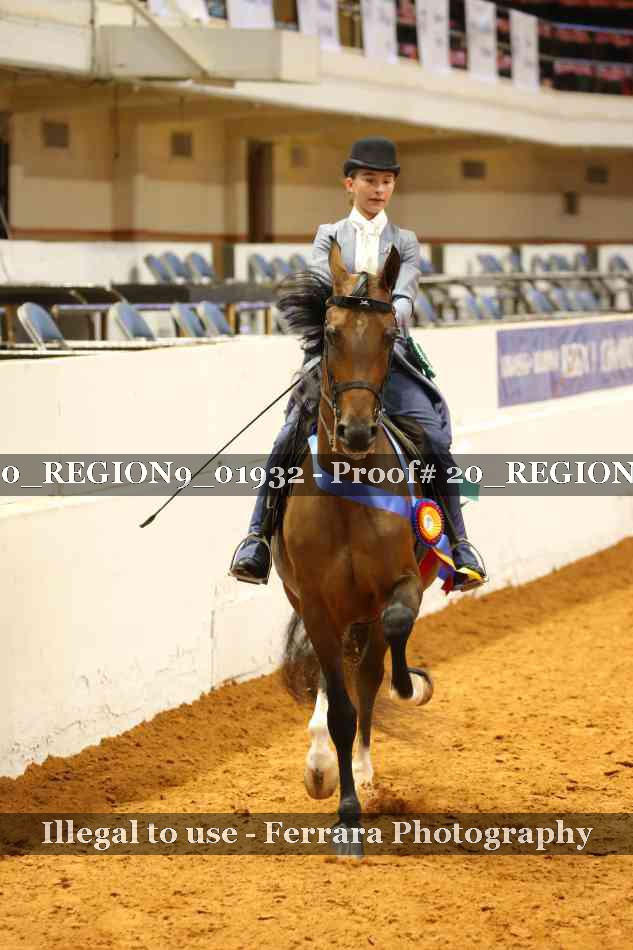 Proof 20_REGION9_01932