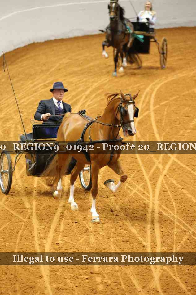 Proof 20_REGION9_01942