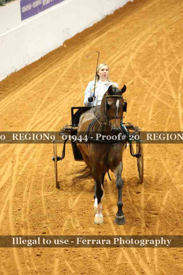Proof 20_REGION9_01944