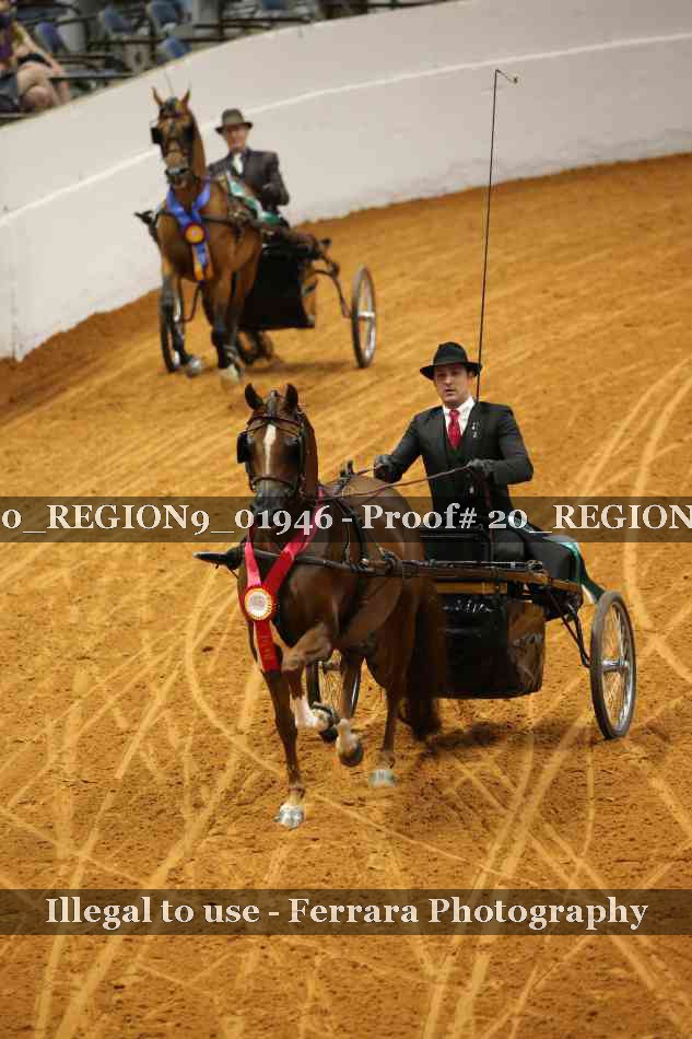 Proof 20_REGION9_01946