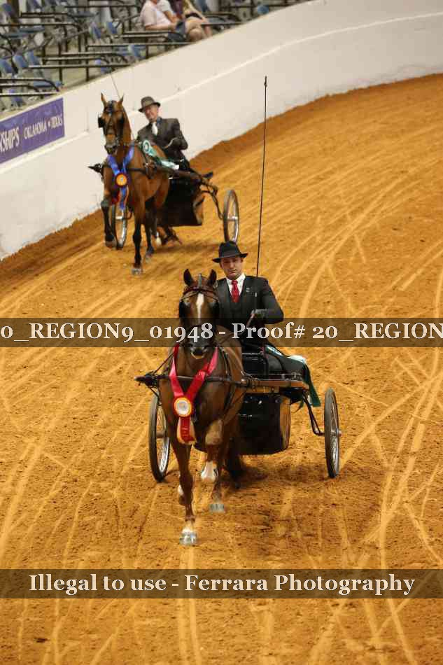 Proof 20_REGION9_01948