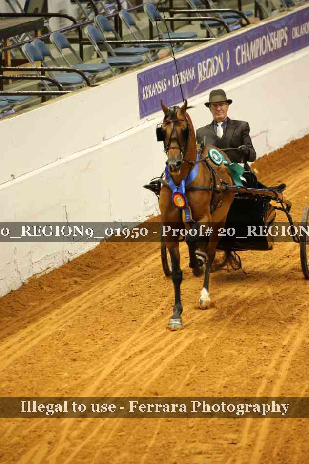 Proof 20_REGION9_01950