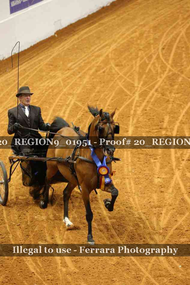 Proof 20_REGION9_01951