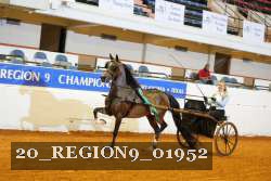 20_REGION9_01952 proof