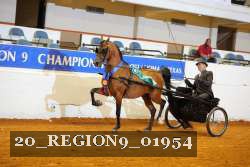 20_REGION9_01954 proof