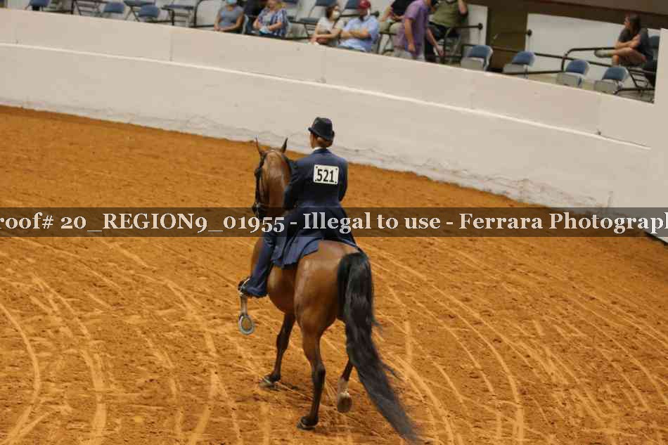 Proof 20_REGION9_01955