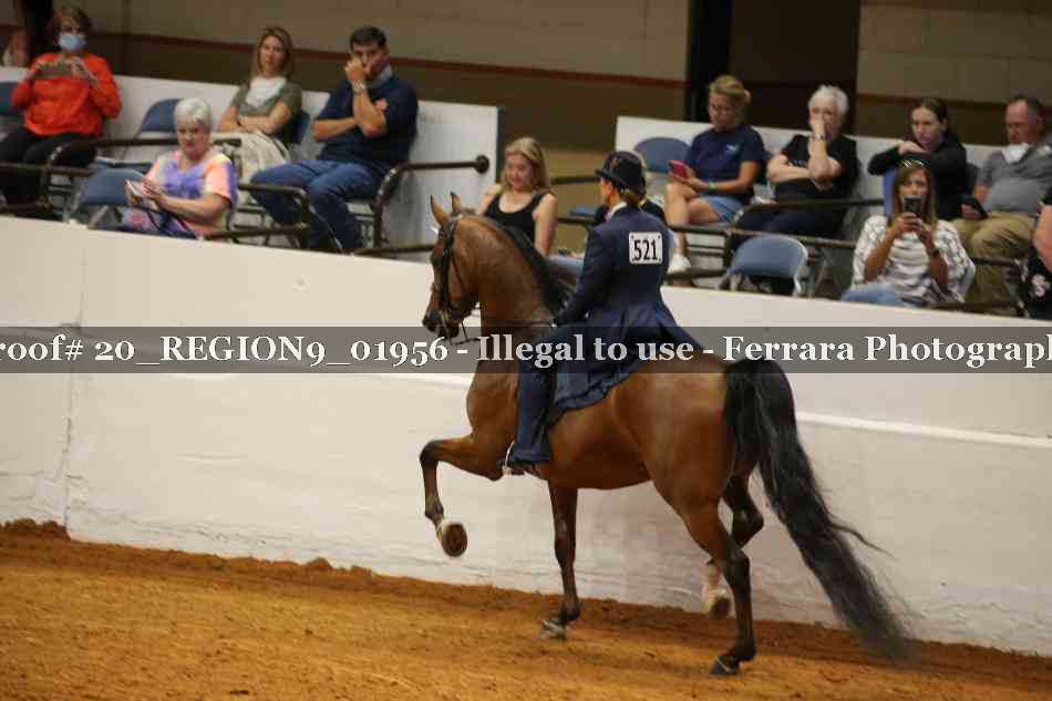 Proof 20_REGION9_01956