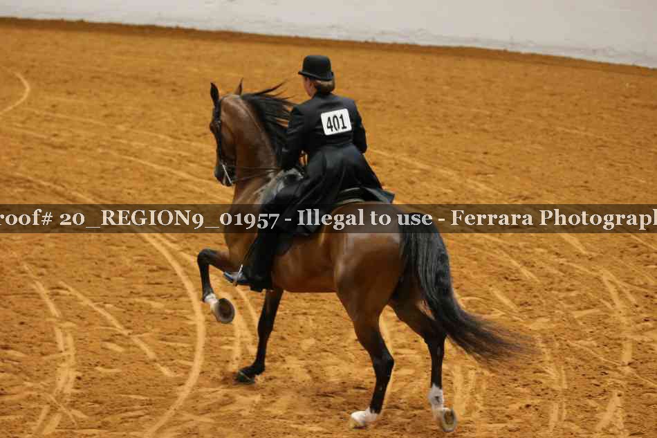 Proof 20_REGION9_01957