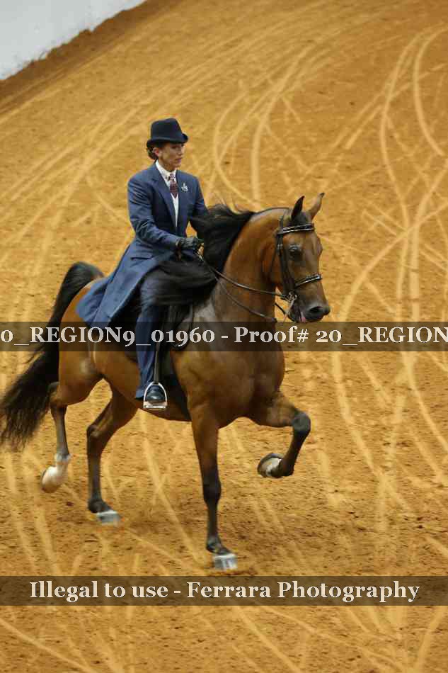 Proof 20_REGION9_01960