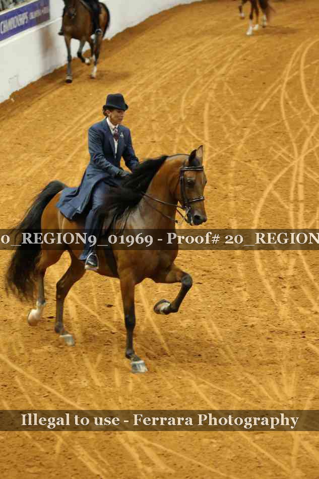 Proof 20_REGION9_01969
