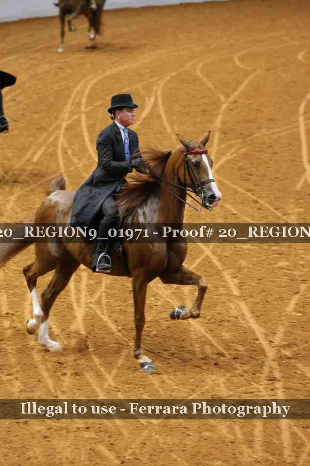 Proof 20_REGION9_01971