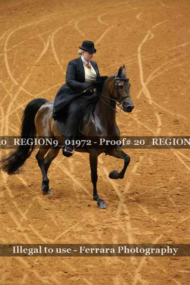 Proof 20_REGION9_01972
