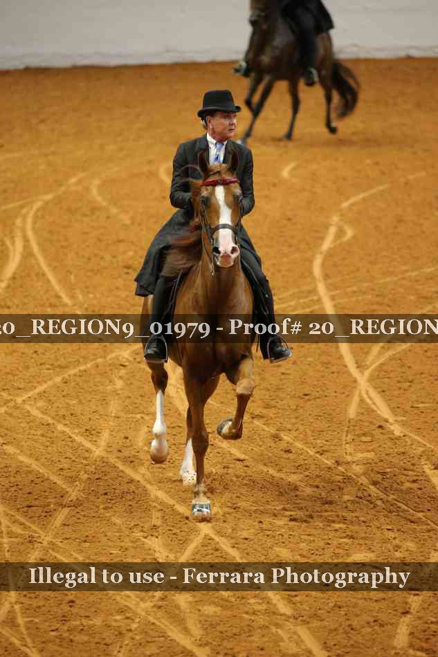 Proof 20_REGION9_01979
